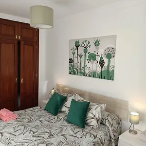 https://apto-ana-malaga-centro.1costadelsol.com