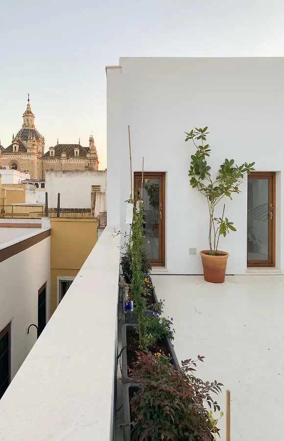 La Casa Del Lagar 10 Apartment Seville